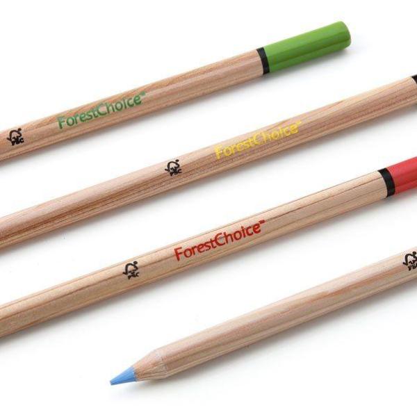 ForestChoice Color Pencils